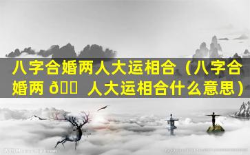 八字合婚两人大运相合（八字合婚两 🐠 人大运相合什么意思）